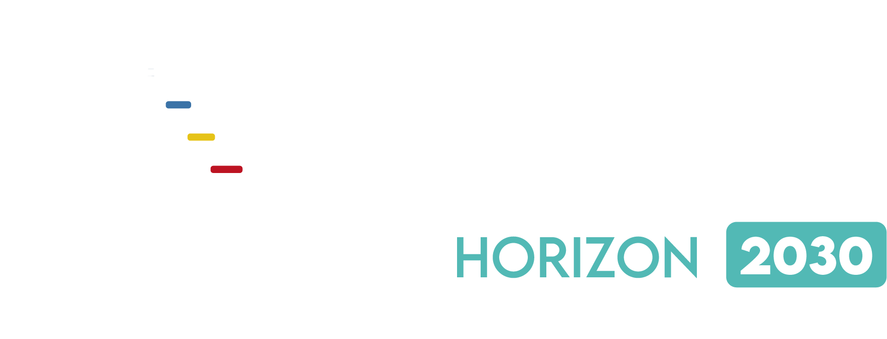 RDC Nation Digitale, Horizon 2030